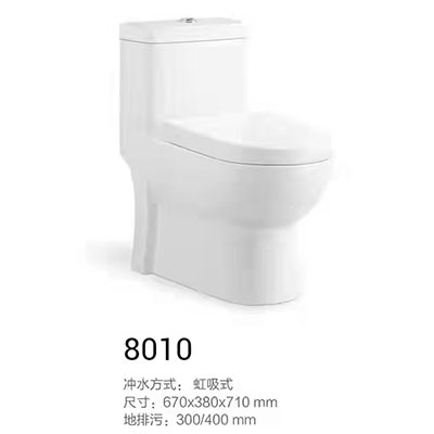 8010ʽ
