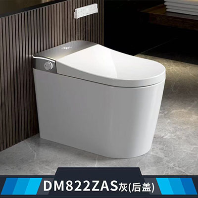 DM822ZAS()