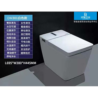 DM301ɫ