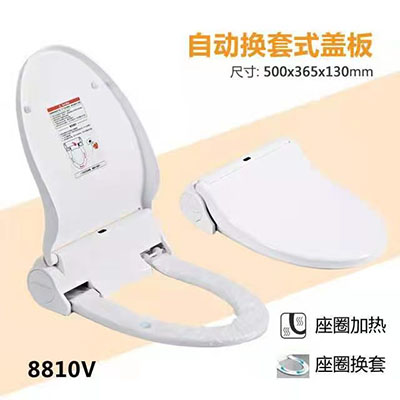 8810VԶʽǰ