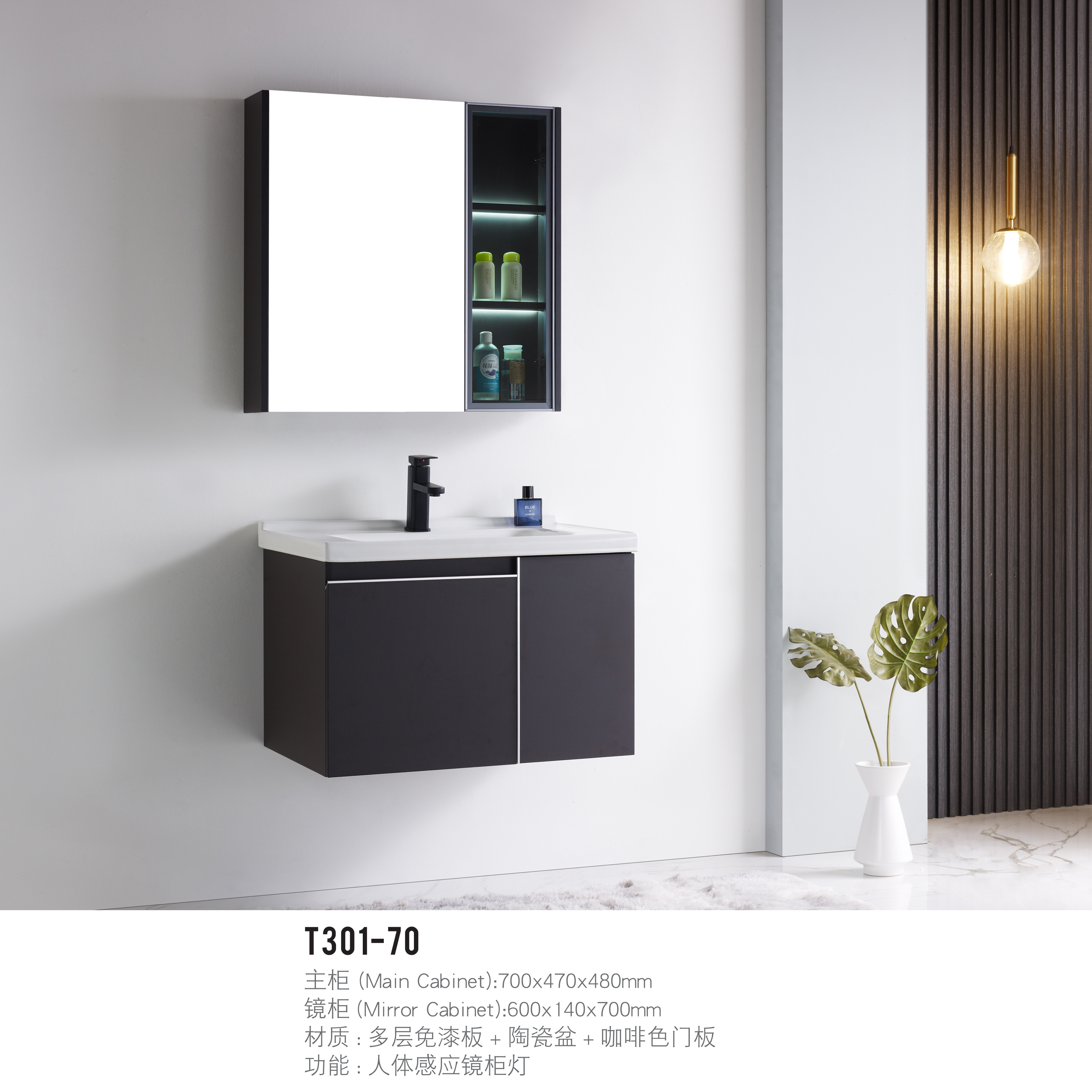 T301-70 (Main Cabinet):700x470x480mm (Mirror Cabinet):600140x700mm