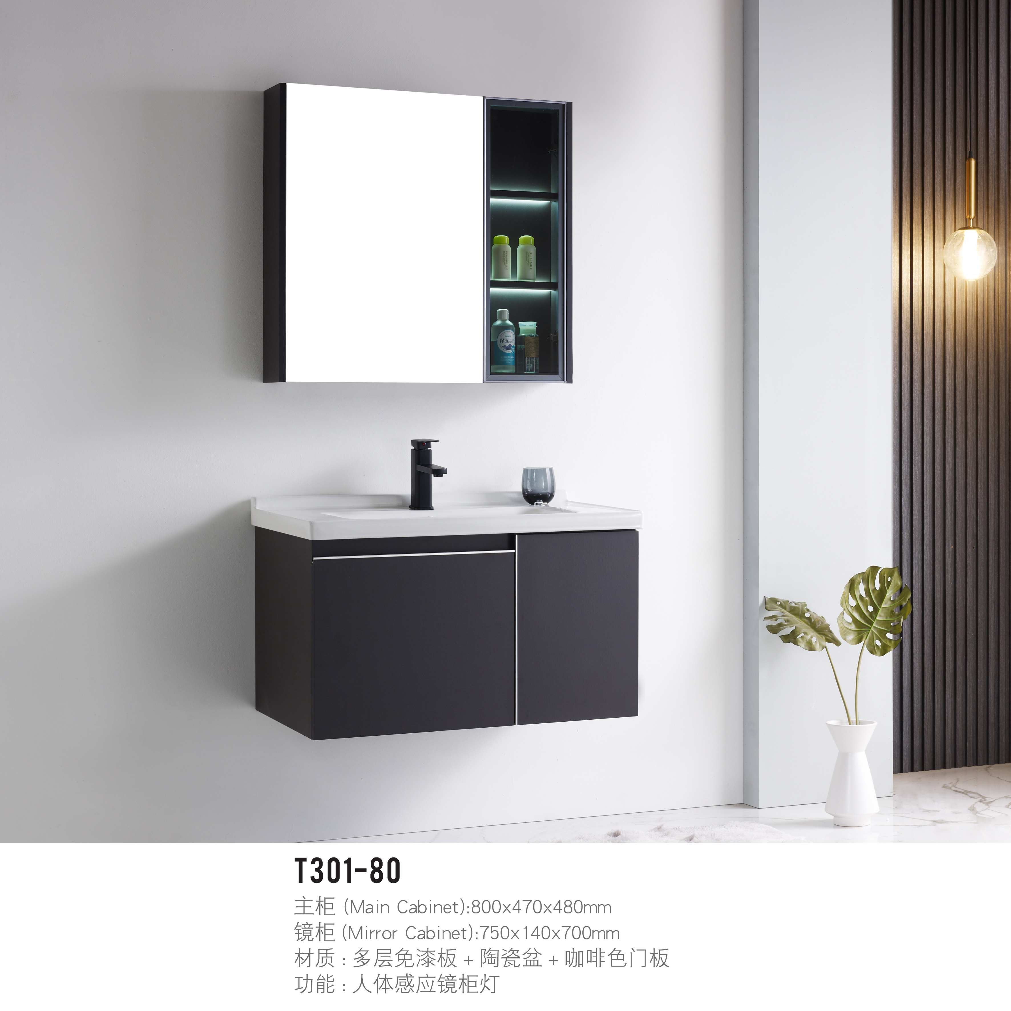 T301-80 (Main Cabinet):800470x480mm (Mirror Cabinet):750140700mm